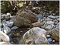2008-7-2 下午 02-43-20---太平溪東源6.jpg